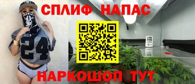 трава Кандалакша