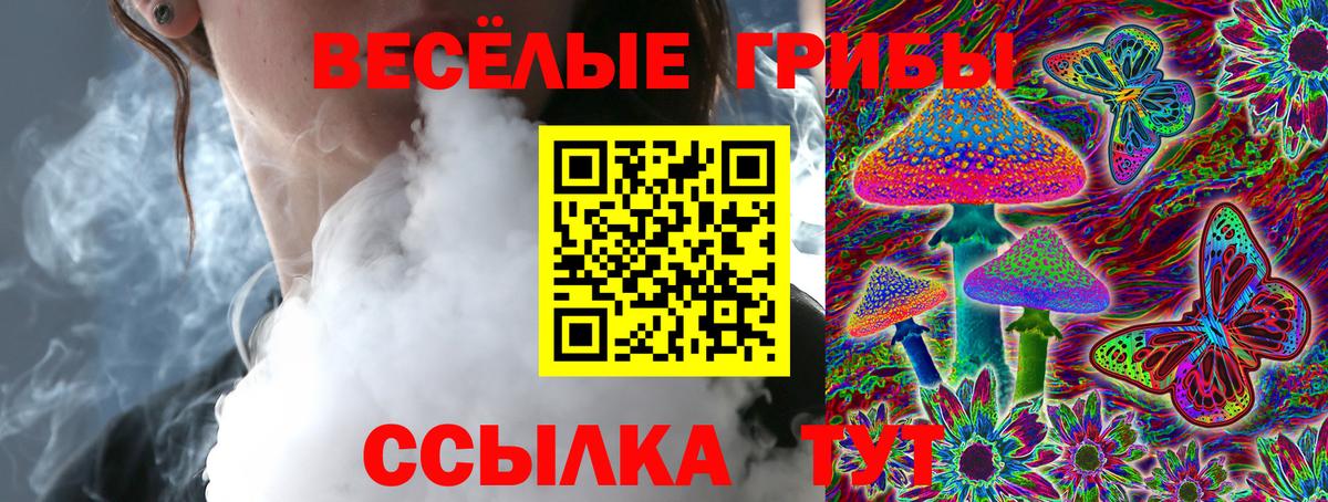 Псилоцибиновые грибы прущие грибы  Вход с VPN  Кубинка 
