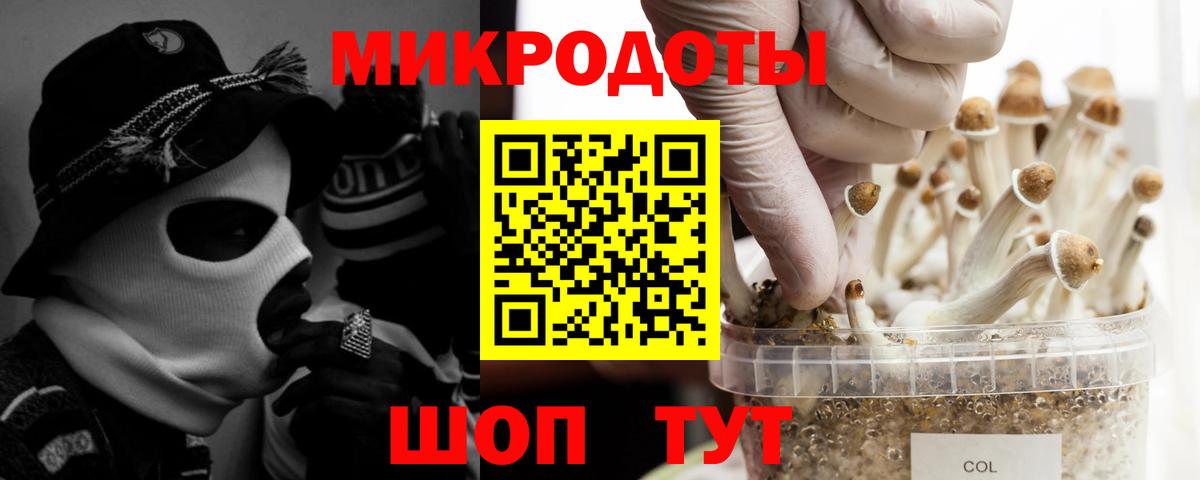Галлюциногенные грибы мухоморы Кубинка